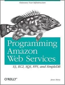Programming Amazon Web Services [Repost]