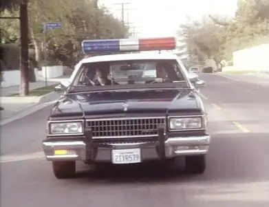 Animal Instincts (1992)