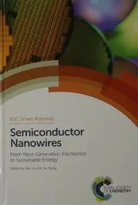 Semiconductor Nanowires: From Next-Generation Electronics to Sustainable Energy