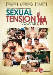 Tensión sexual, Volumen 1: Volátil / Sexual Tension Volatile (2012)
