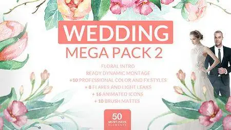 Wedding Mega Pack 2 - Project for After Effects (VideoHive)