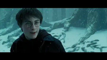 Harry Potter and the Prisoner of Azkaban (2004) [Full BluRay]