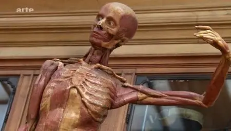 (Arte) Honoré Fragonard, la passion de l'anatomie (2011)