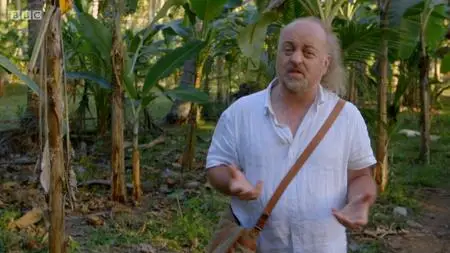 BBC - Bill Bailey's Jungle Hero (2013)