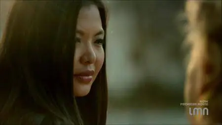 Stranger in the House (2015)