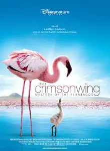 The Crimson Wing: Mystery of the Flamingos (2008)