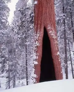 Super Widescreen Nature HQ Wallpapers Collection episode(30)