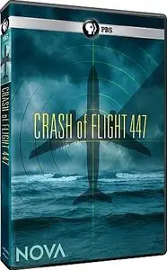 PBS - Nova: Crash of Flight 447 (2011)