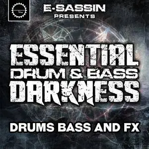 Industrial Strength E-Sassin Presents Essential Drum and Bass Darkness WAV