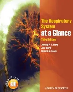 The Respiratory System at a Glance (repost)