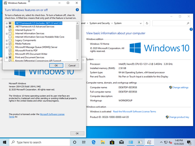 Windows 10 Home 20H1 2004.19041.546 (x86/x64) Multilanguage Preactivated October 2020