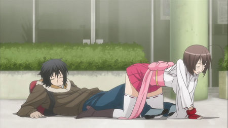 Sekirei (2008)