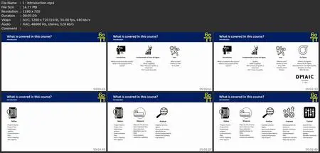 Lean Six Sigma Yellow Belt: Certification
