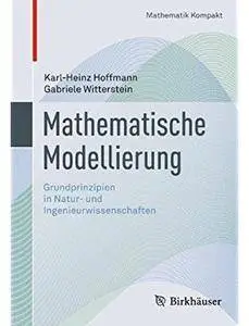 Mathematische Modellierung: Grundprinzipien in Natur- und Ingenieurwissenschaften [Repost]