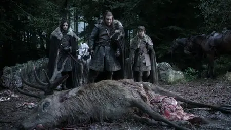 Game of Thrones [Season 1: 1-10 series of 10] / Игра престолов [1 сезон: 1-10 серии из 10] (2011) [Repost]