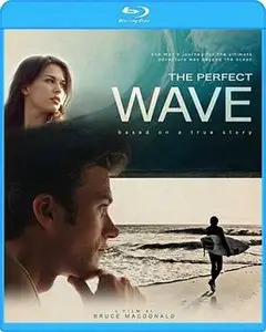 The Perfect Wave (2014)
