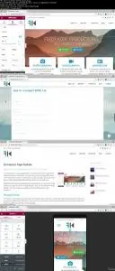 Complete Wordpress Course | Elementor