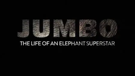 CBC The Nature Of Things - Jumbo: The Life Of An Elephant Superstar (2018)