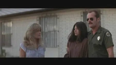 The Border (1982)