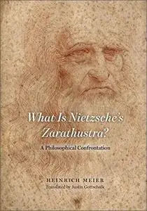 What is Nietzsche's Zarathustra?: A Philosophical Confrontation