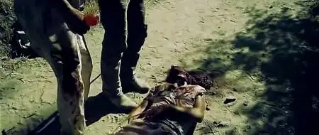 Pig (2010)