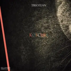 Triozean - Koschki (2015) [Official Digital Download 24/96]