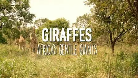 BBC Natural World - Giraffes: Africa's Gentle Giants (2016)