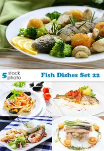 Photos - Fish Dishes Set 22