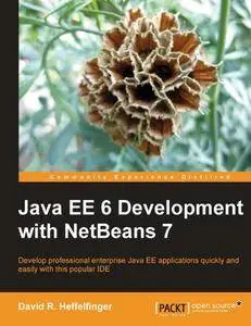 Java EE 6 Development with NetBeans 7 (repost)