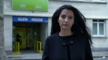 Channel 4 - Dispatches: Britain's Benefits Experiment (2015)