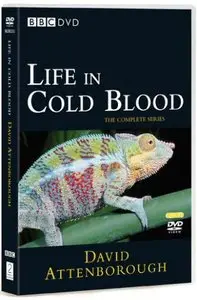 BBC Life In Cold Blood - The Cold Blooded Truth ( DVD 1/5 )