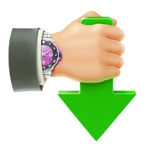 Internet Download Accelerator 5.12.2.1297 Portable