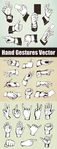 Hand Gestures Vector