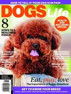 Dogs Life - April 2017