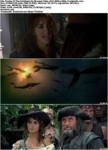 Pirates of the Caribbean: On Stranger Tides (2011) [Reuploaded]