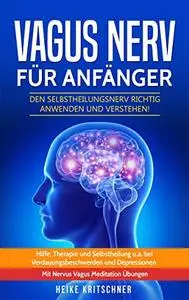 Vagus Nerv für Anfänger: Den Selbstheilungsnerv richtig anwenden und verstehen!