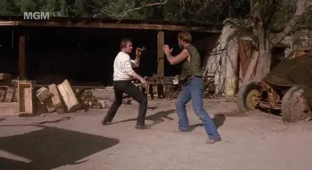 Lone Wolf McQuade (1983)