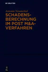 Schadensberechnung im Post M&A-Verfahren - Antonia Neumerkel
