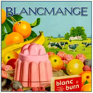 Blancmange - Blanc Burn (2011)