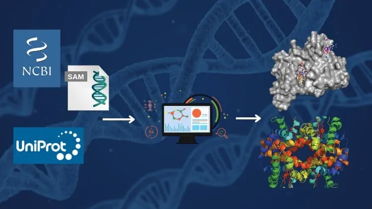 Applied Bioinformatics: From Sequences to Protein Structures