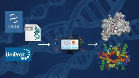 Applied Bioinformatics: From Sequences to Protein Structures