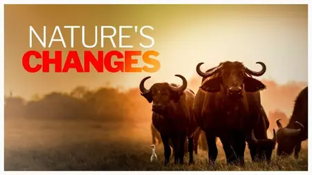 Nature's Changes (2023)