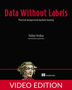Data Without Labels, Video Edition