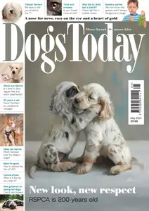 Dogs Today UK - May 2024