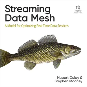 Streaming Data Mesh: A Model for Optimizing Real-Time Data Services [Audiobook]