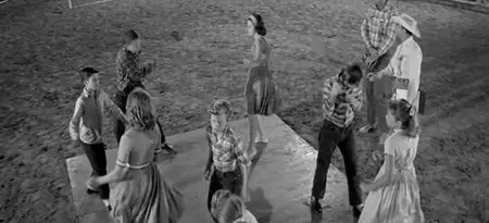 HUD [Le plus sauvage d'entre tous] 1963 [Re-UP]