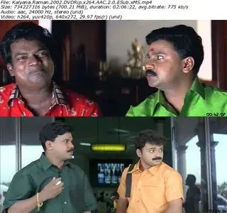 Kalyanaraman (2002)