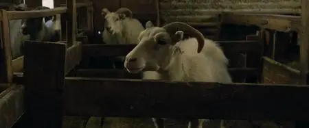 Lamb (2021)