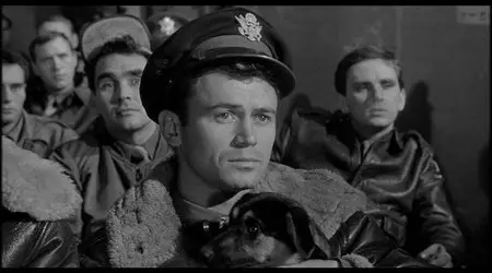 The War Lover / The War Lover - Verliebt in den Krieg [DVD5] (1962)
