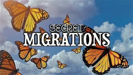 Kwanza - Secret Migrations: Series 1 (2019)